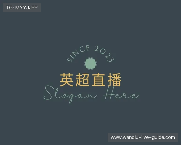 关于玩球帝